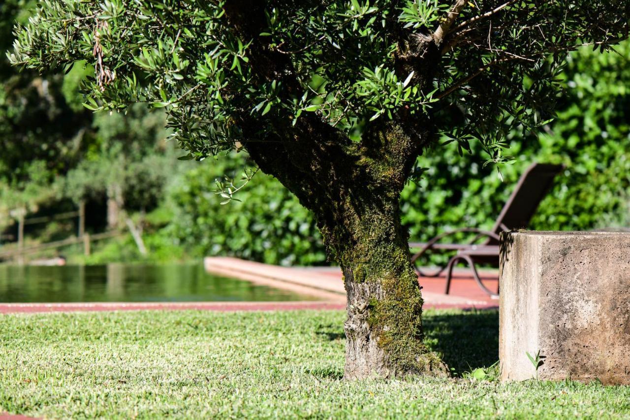 Vale Do Ninho Nature Houses Ferraria de São João Exteriér fotografie